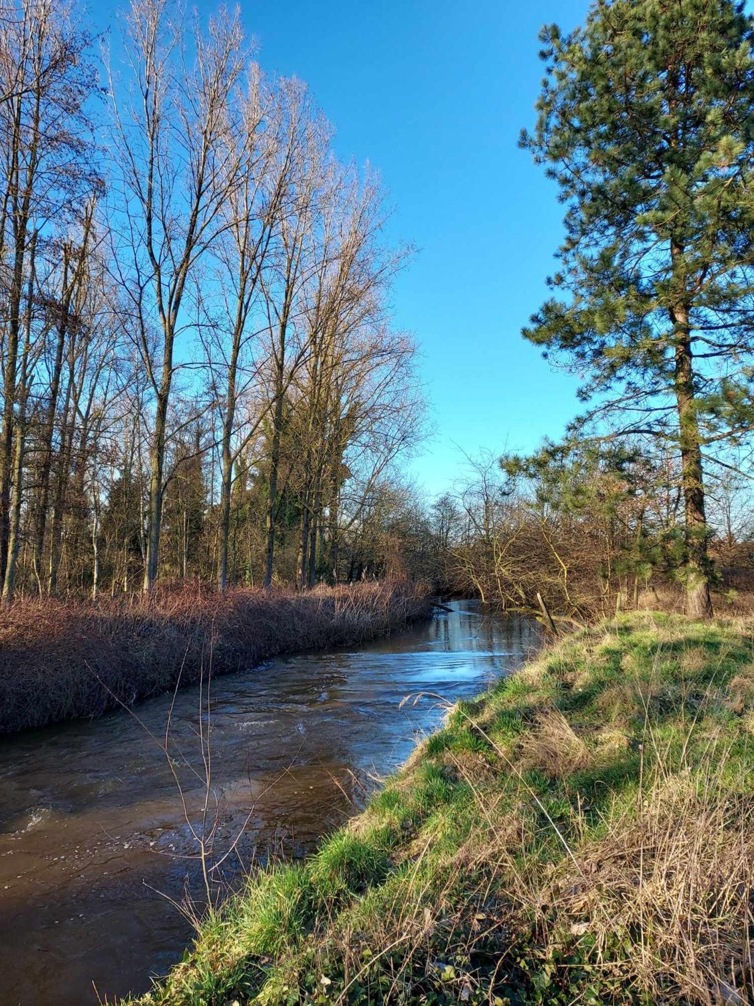 Rustig Gelegen Chalet Kapeki Met Tuin Aan Het Water Geel Kültér fotó